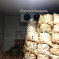 Thi công kho lạnh bảo quản khoai tây tại Đà Lạt