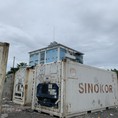 container SINOKOR ngon bỏ rẻ