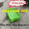 Khay nhựa rỗng HS 010, chúng tôi chuyên cung cấp khay nhựa đựng thực phẩm