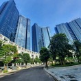 Chính chủ cho thuê căn hộ Sunshine City 1PN 2PN 3PN nhận nhà ngay.