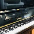 Người mới bắt đầu nên mua đàn piano ở đâu cho hợp lý