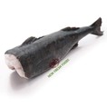 Cá Tuyết Đen Mỹ New Fresh Foods
