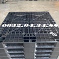 Pallet nhựa tại Bình Phước, giao hàng tận nơi