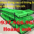 Khay nhựa hở, khay nhựa hình chữ nhật đựng rau củ,sọt nhựa HS008