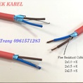 Cáp chống cháy có chống nhiễu 2x1.0, 2x1.5, 2x2.5
