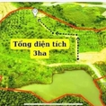 Bán siêu phẩm 3 ha view hồ đại ninh thuộc ninh gia đức trọng 500tr/1 sào