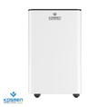 Máy hút ẩm Kosmen KM 60S