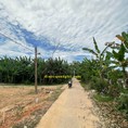 Bán đất Cam Hiếu, Cam Lộ giá chỉ 5xx triệu
