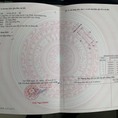 Đặt cọc hôm nay, sinh lời X2 khi sở hữu đất sổ đỏ đặc khu kinh tế Vân Phong
