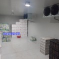 Thi công kho lạnh bảo quản trái cây giá tốt