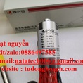 PT124B 121 M22 152/460 cảm biến đầu dò chính hãng XGHNDZ