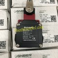 Công tắc hành trình Gnber RSA 021 Cty Thiết Bị Điện Số 1