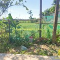 Đất nền giá đầu tư chỉ 4xx hải hưng hải lăng Quảng Trị 0941076225