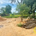 Đất Mặt Tiền Đường Bảo Đại Triệu Ái Tiệu Phong Quảng Trị