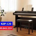 Độc quyền Kawai KDP 120 đàn piano điện