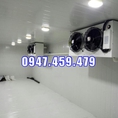 Thi công kho lạnh bảo quản thực phẩm, rau củ quả,....