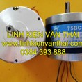 Động cơ bước tiến/75BC380/CÁI/1255G