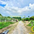 Kiệt Nguyễn Hoàng, Đông Lương, TP. Đông Hà