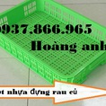 Sọt nhựa dùng trong cửa hàng bán rau củ, giá khay nhựa, khay nhựa, thùng nhựa rỗng