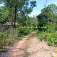 Đất kiệt Bảo Đại, Triệu Ái, Triệu Phong, Quảng Trị