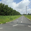 Bán gấp lô đất xây nhà trọ cạnh KCN Giang Điền, Trảng Bom