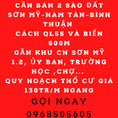 Bán gấp lô đất cách QL 55 Sơn Mỹ Hàm Tân Bình Thuận 500m. 130tr/m
