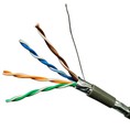 Cáp mạng Dintek cat5e UTP, cat6 UTP chính hãng