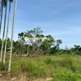 Bán lô đất tại tam hiệp, cam thủy, Cam Lộ