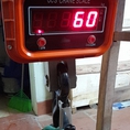 Cân treo điện tử HY OCS 5T Max : 5 Tấn/2kg