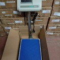 Cân bàn điện tử A12 Max:500kg/100g