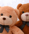 Thú nhồi bông gấu teddi