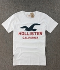 Chuyên Sản Xuất Áo Thun VNXK Hollister California Hollister Surfboard Hollister Riders