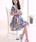 Đầm váy nhập khẩu cao cấp y hình