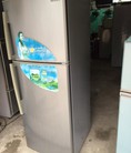 Tủ lạnh samsung rt37sass1 ,300l