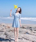 D096 Frenchy Dress