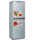 Tủ lạnh International 2590 250 lít dùng cho 3 5 người