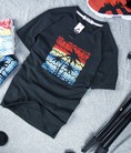Áo thun nam màu xám in hình bóng cây dừa trên nền đỏ vàng xanh BRIOAT001