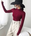 Áo thun cổ lọ nhiều màu