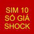 Sim 10 số đẹp, đồng giá 299k gọi miễn phí các mạng, Giao sim tận nơi