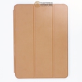 Bao Da Ipad Air thông minh