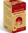 Hình ảnh: Ngũ Linh Đông Trùng Hạ Thảo : bổ thận, tăng cường sức khỏe, giảm mệt mỏi, giúp ăn ngon miệng, kích thích tiêu hóa .