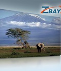 Hình ảnh: Vé máy bay đi kenya