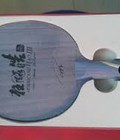 Hình ảnh: Cốt vợt bóng bàn, mặt vợt bóng bàn, vợt bóng bàn, phụ kiện, bảng điểm lật tay, bàn bóng bàn, hàng chính hãng, giá rẻ