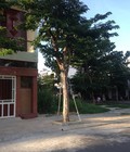 Hình ảnh: Cần bán đất KDC NAM CẦU Cẩm Lệ giá: 450 triệu 500