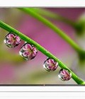 Hình ảnh: Giảm giá không phanh Tivi Led LG 47LB631, 47 inch, Smart TV, nguyên kiện
