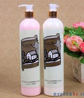 Hình ảnh: Bộ dầu gội và dầu xả Garden 550ml/chai