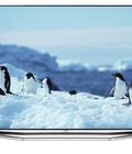 Hình ảnh: Siêu hot với Tivi 3D Samsung 55H7000, 55 inch, tặng ngay 1 máy sấy tóc cao cấp, giá tại kho