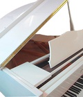 Hình ảnh: Đàn Piano Grand Ritmuller