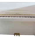Hình ảnh: Đàn Piano Ritmuller