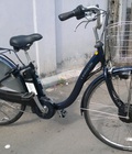Xe đạp trợ lực Sanyo 2010